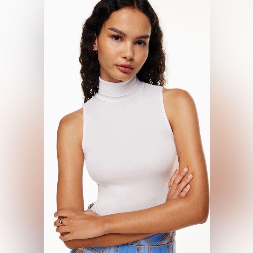 Aritzia Sunday Best Freshman Sleeveless Cropped Tencel Ribbed Turtleneck Top
